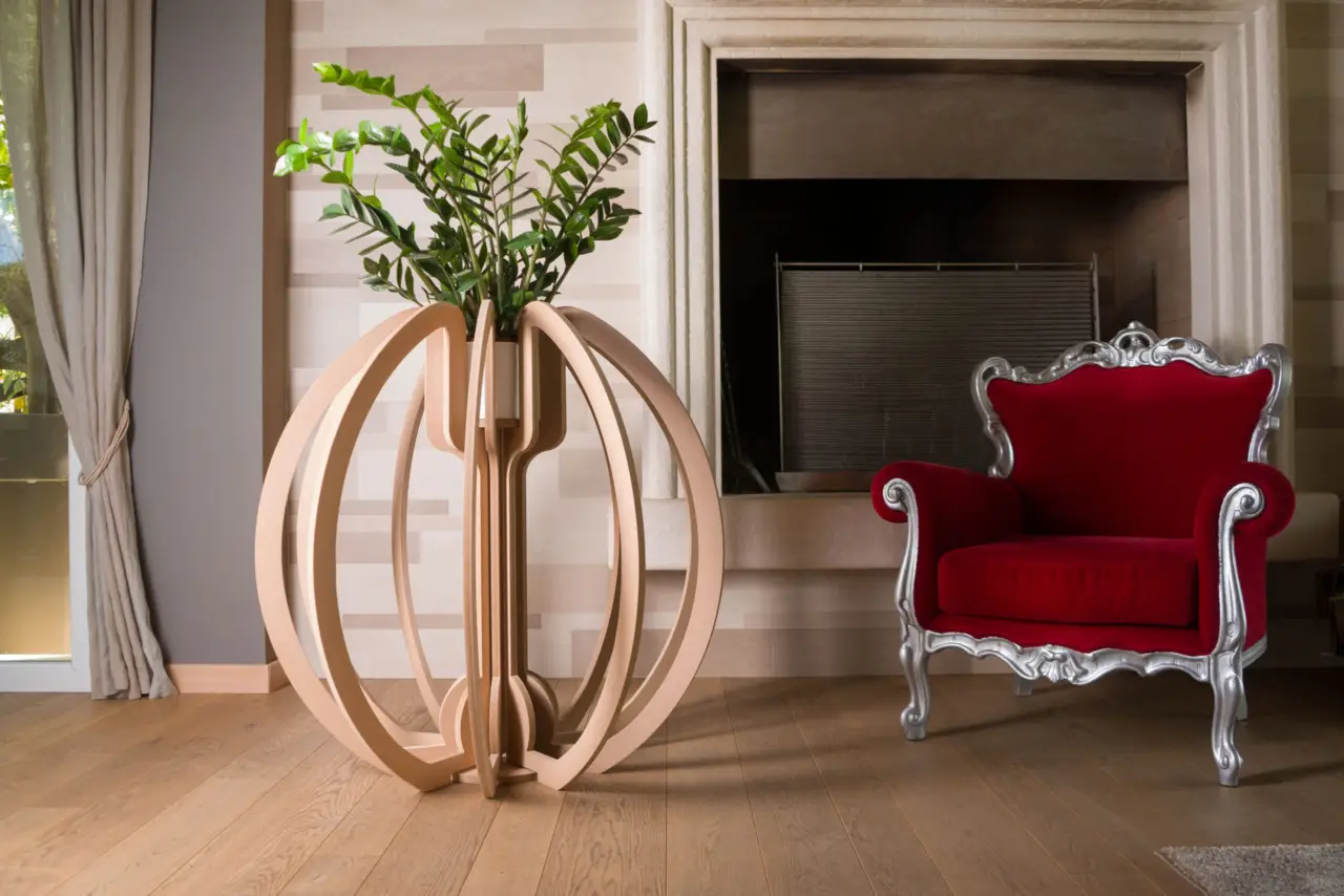 Pianta del denaro ecco dove posizionarla in casa per attirare ricchezza subito