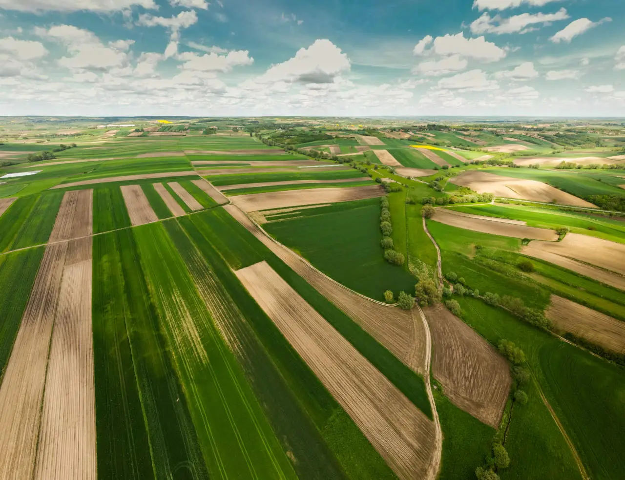 Valore terreno agricolo: da oggi cambia tutto, ecco quanto potrebbe valere il tuo