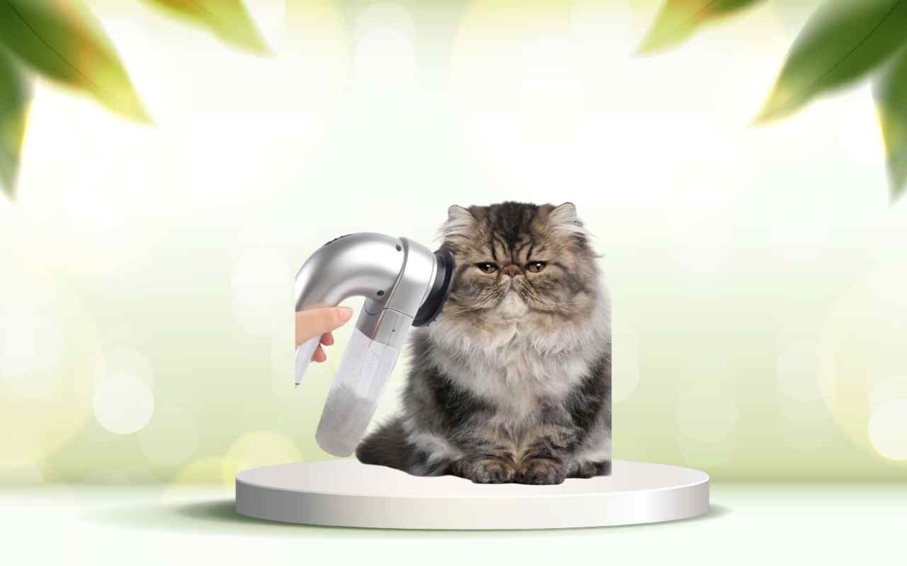 Dì addio ai peli di animali: scopri SpazzolAmica e pulisci casa senza stress